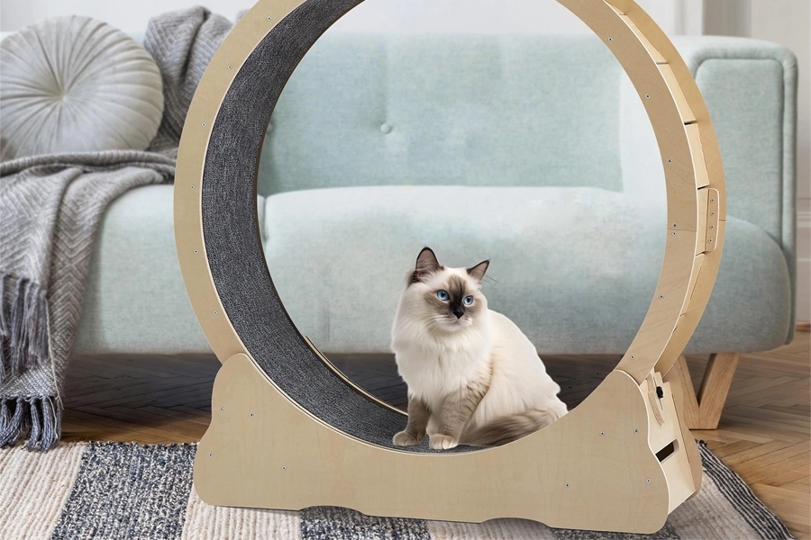 Interactive Cat Exercise Toy