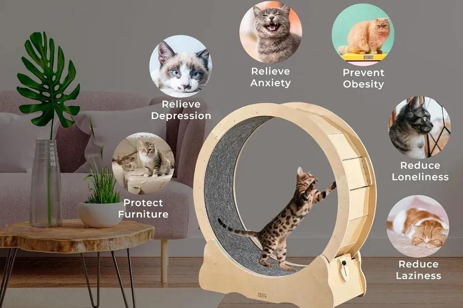Self-Propelled Cat Fitness Wheel
