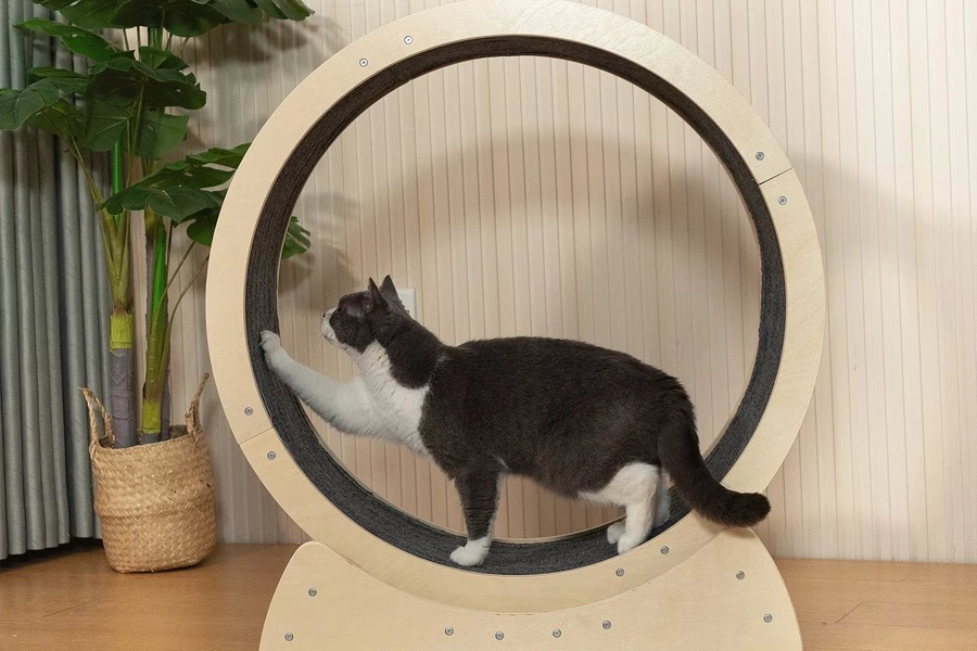 Interactive Cat Exercise Toy